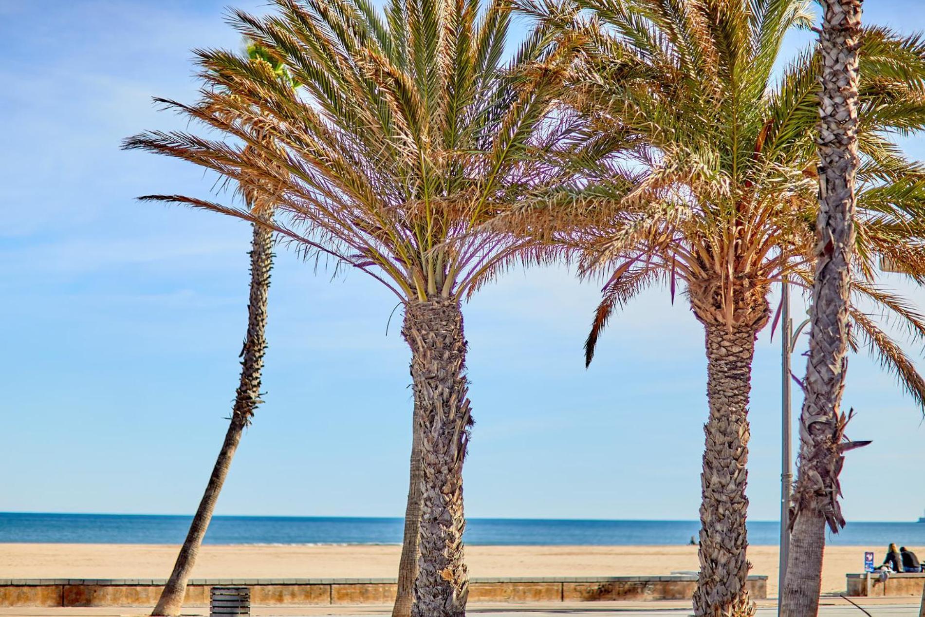 Apartup Patacona Sunrise Duplex Ii Valencia